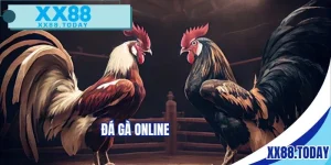 Đá gà online