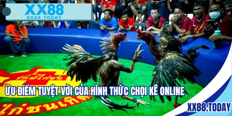 Nhiều tiện ích hấp dẫn khi tham gia đá gà online